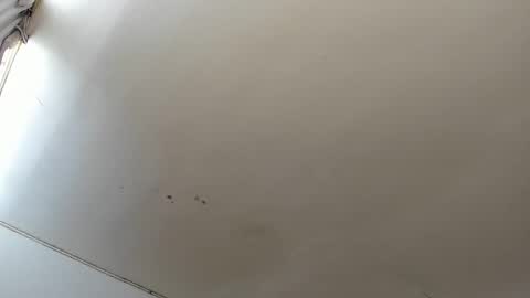 Lara online show from 23, 10, 2025