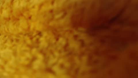 laralhotr online show from 27, 12, 2024