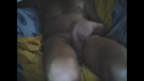 Snapshot of larop49 chatting on 6, 10, 2025 Larop49 online show from 6, 10, 2025