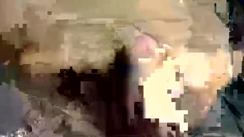 joseph online show from 5, 12, 2024