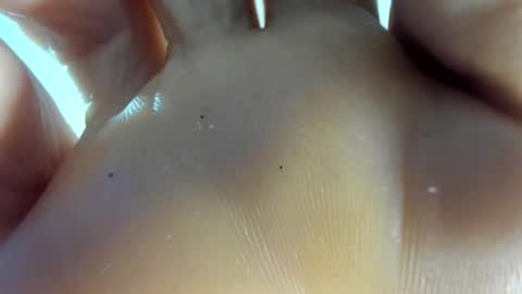 Afrodita online show from 7, 11, 2025