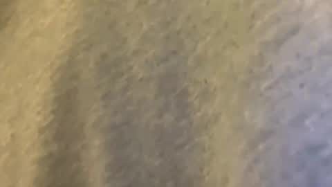 Mexakin online show from 9, 3, 2026