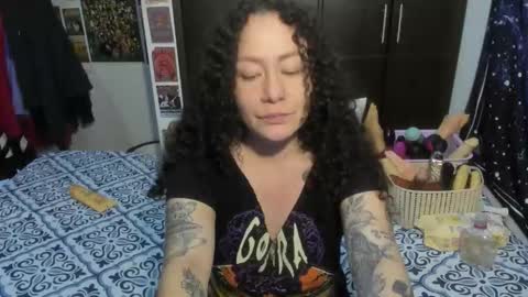  Wen  online show from 27, 2, 2026