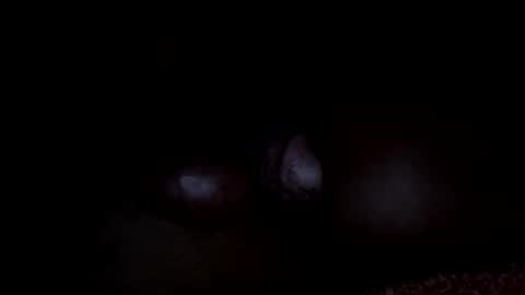 lawrencegreg106 online show from 3, 4, 2026