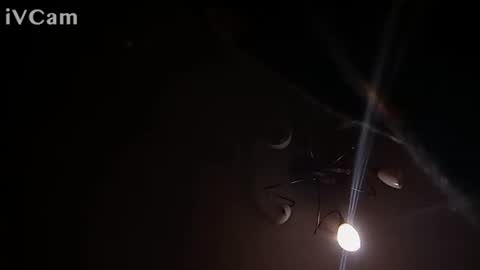 Snapshot of laydayy chatting on 12, 1, 2026 laydayy online show from 12, 1, 2026