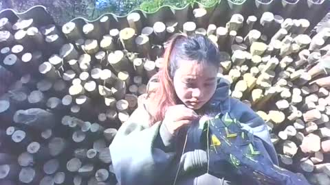 layla_999 online show from 12, 1, 2026