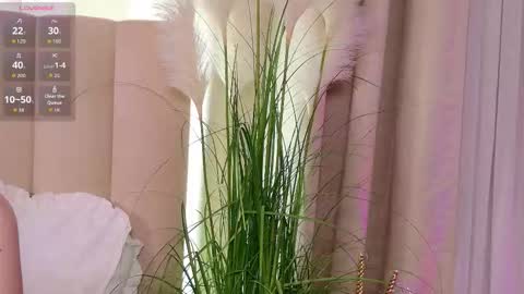 Your sweet girl-next-door online show from 31, 1, 2026