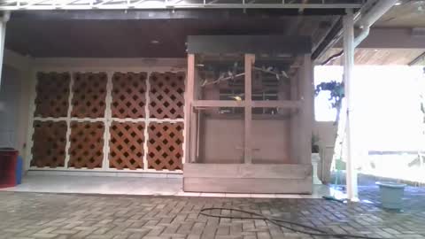 kelly online show from 5, 1, 2026