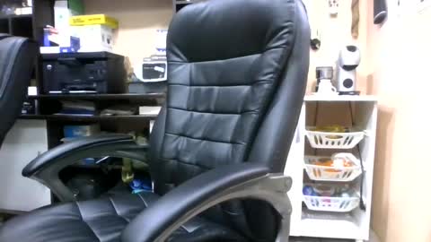 Snapshot of laylabrasil chatting on 11, 7, 2026 kelly online show from 11, 7, 2026