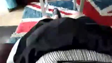 Snapshot of leatherpants68 chatting on 17, 7, 2026 leatherpants68 online show from 17, 7, 2026