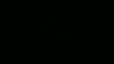 Snapshot of leeguy_hugedick chatting on 25, 5, 2026 Ebony DeafGuy online show from 25, 5, 2026