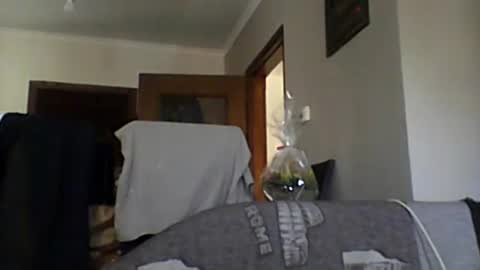 lelshop online show from 8, 12, 2024