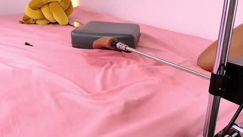 Lenaandwilliam online show from 5, 2, 2026