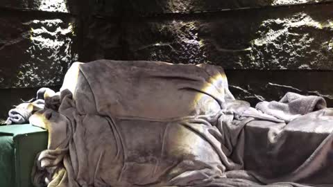 Leo  Diaz online show from 30, 11, 2025