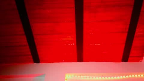 Lenardo jaramillo online show from 12, 12, 2024