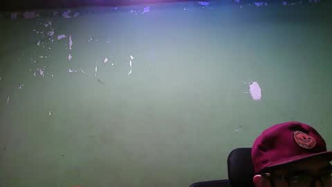 Snapshot of leonyfede chatting on 1, 12, 2025 LYF online show from 1, 12, 2025