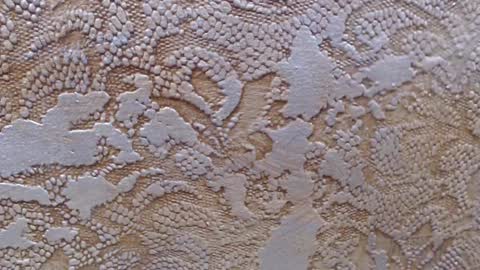 leoroman online show from 6, 2, 2025