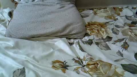 letshaveitbby online show from 15, 11, 2025