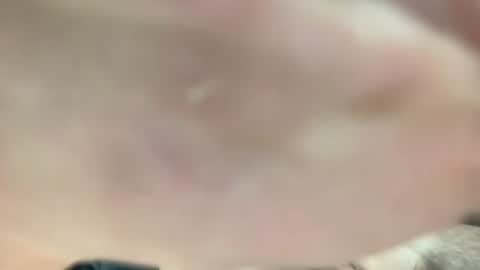 lexiejohnson233 online show from 2, 12, 2025