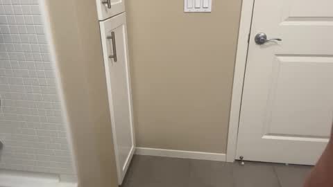 Lex North online show from 14, 3, 2026