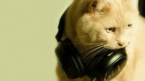 Snapshot of li_lit chatting on 2, 3, 2026 li_lit online show from 2, 3, 2026