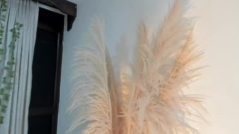 Lia online show from 16, 4, 2026