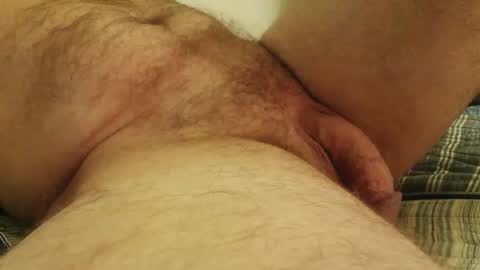 licam online show from 17, 10, 2025