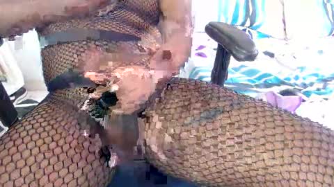 licy online show from 29, 3, 2026