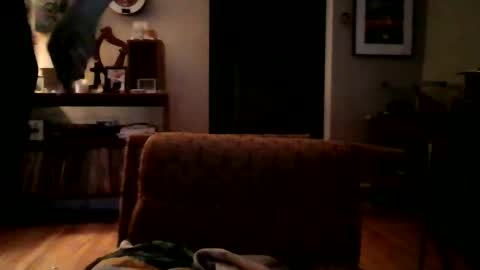 lildeer1980 online show from 8, 1, 2025