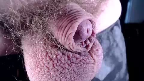 lildickbigbelly online show from 6, 7, 2026