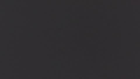 emily ryanson online show from 10, 11, 2025