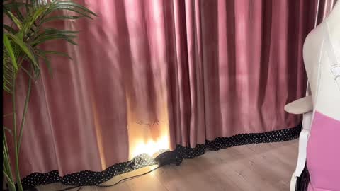 Lili online show from 3, 3, 2026