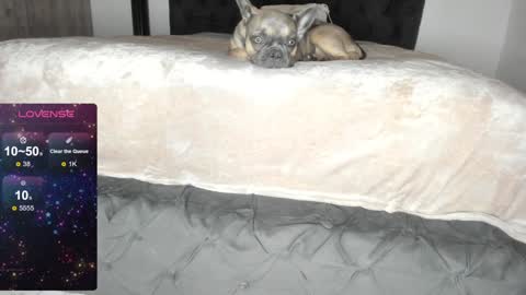 Snapshot of lilith_parker chatting on 22, 1, 2025 Lilith Parker online show from 22, 1, 2025