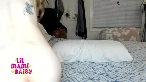 Daisy Bby online show from 10, 5, 2026