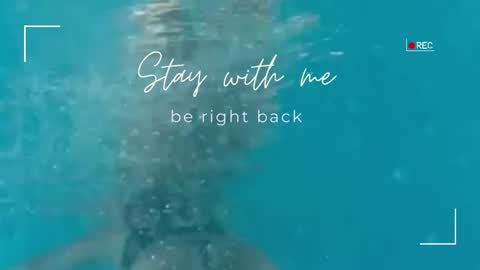 Lily online show from 19, 11, 2025