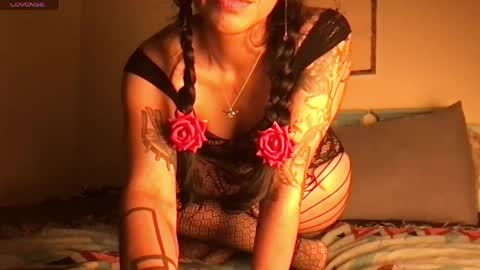 Little Lily online show from 23, 4, 2026