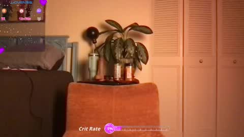 Little Lily online show from 2, 6, 2026