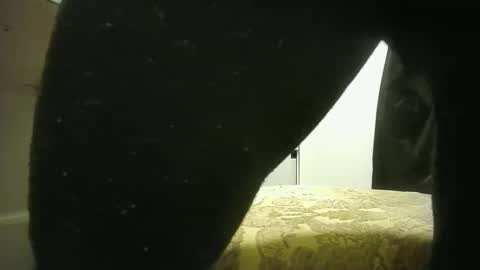 Snapshot of lily_lovelyman_ chatting on 19, 12, 2024 lily lovelyman online show from 19, 12, 2024