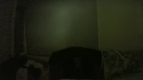 Snapshot of lily_lovelyman_ chatting on 1, 2, 2025 lily lovelyman online show from 1, 2, 2025