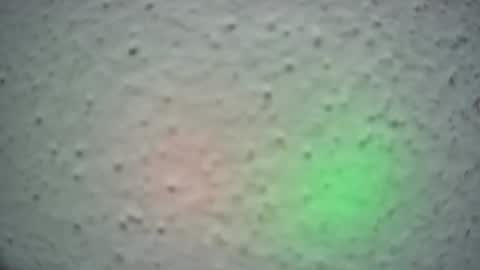 Snapshot of lily_lovelyman_ chatting on 13, 2, 2025 lily lovelyman online show from 13, 2, 2025