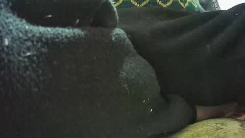 Snapshot of lily_lovelyman_ chatting on 23, 2, 2025 lily lovelyman online show from 23, 2, 2025