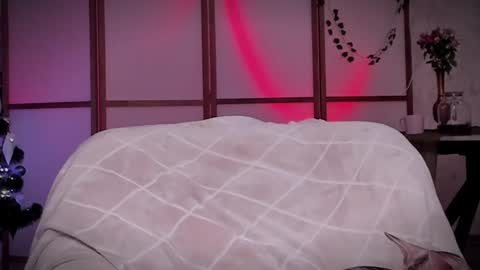 Lina -  online show from 16, 12, 2024