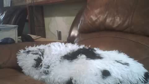 Richie Rich online show from 20, 2, 2026