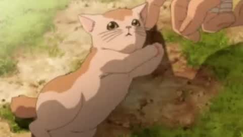 Luna online show from 4, 11, 2025