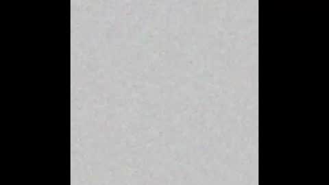 Lindsey online show from 9, 2, 2026