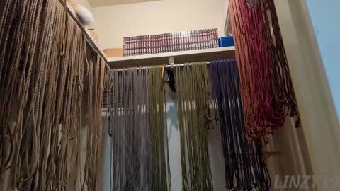 Linzy19 online show from 7, 2, 2025