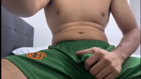 Snapshot of lion_20cm chatting on 10, 11, 2025 lion_20cm online show from 10, 11, 2025