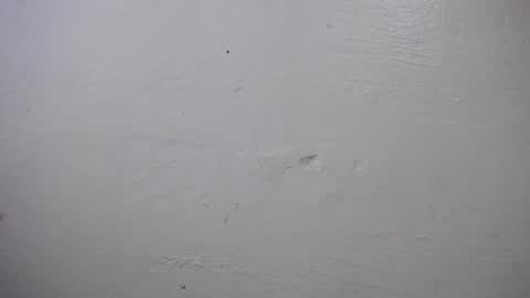 lisa_branch online show from 4, 10, 2025