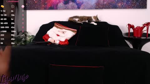 Lisamuse online show from 24, 12, 2024