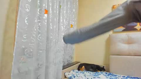 Snapshot of lisasimsx chatting on 1, 8, 2026 Lisasimsxs online show from 1, 8, 2026